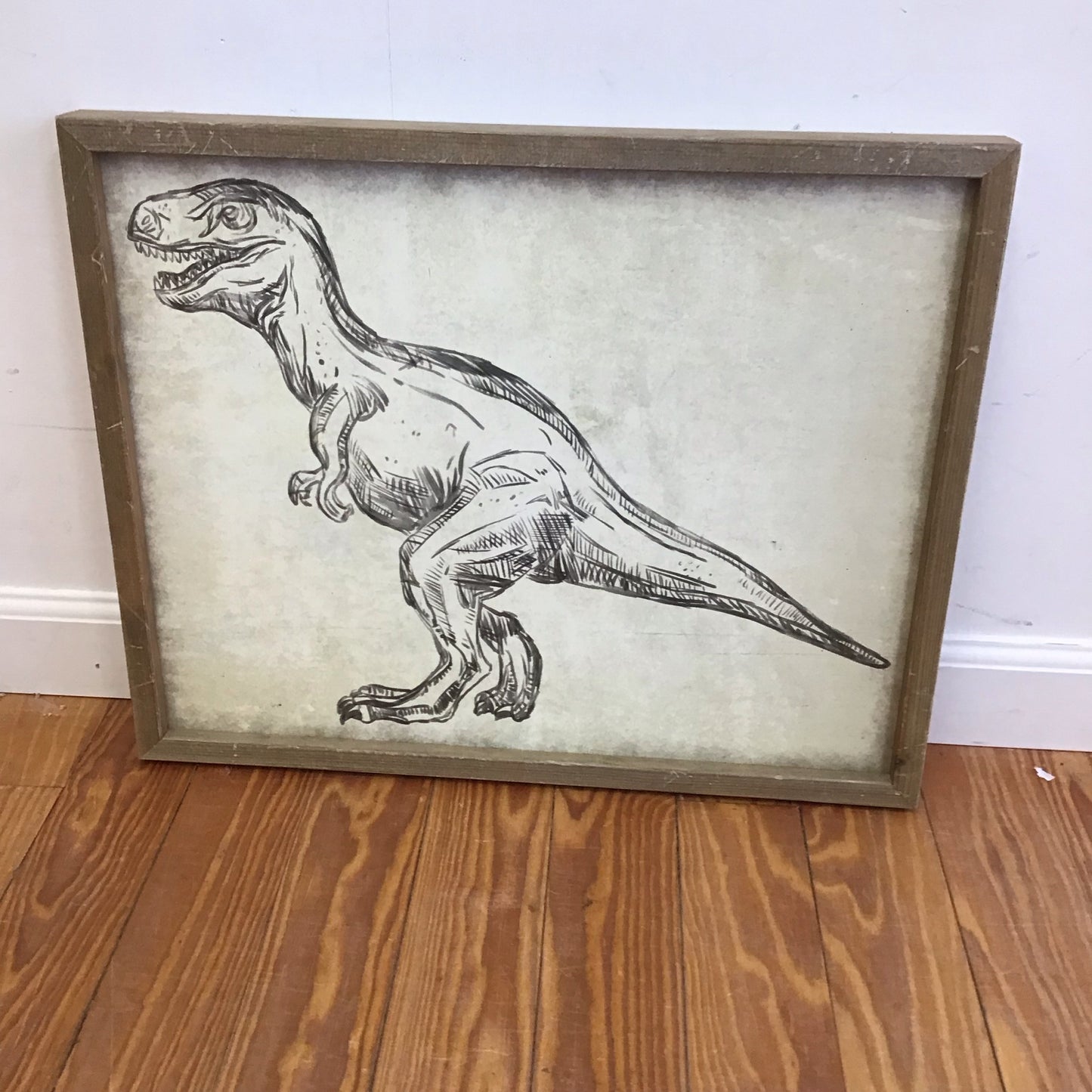 Dinosaur Pictures Local Pickup Only