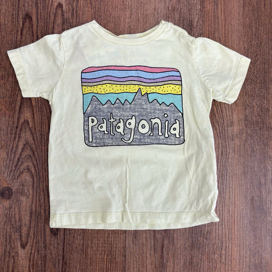 Patagonia Kids Size 2T Dry Fit