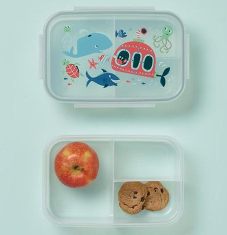 Sugar Booger Ocean Bento Box