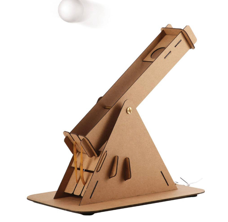 DIY Catapult Science Kit